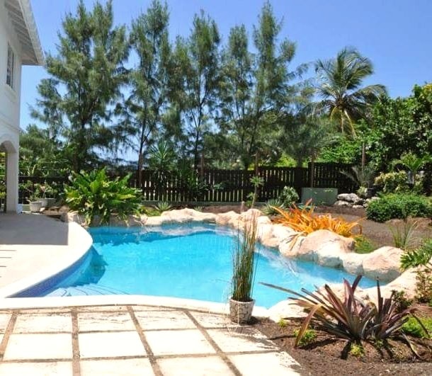 Rock-feature pool with palm and pine landscaping at the coastal villa